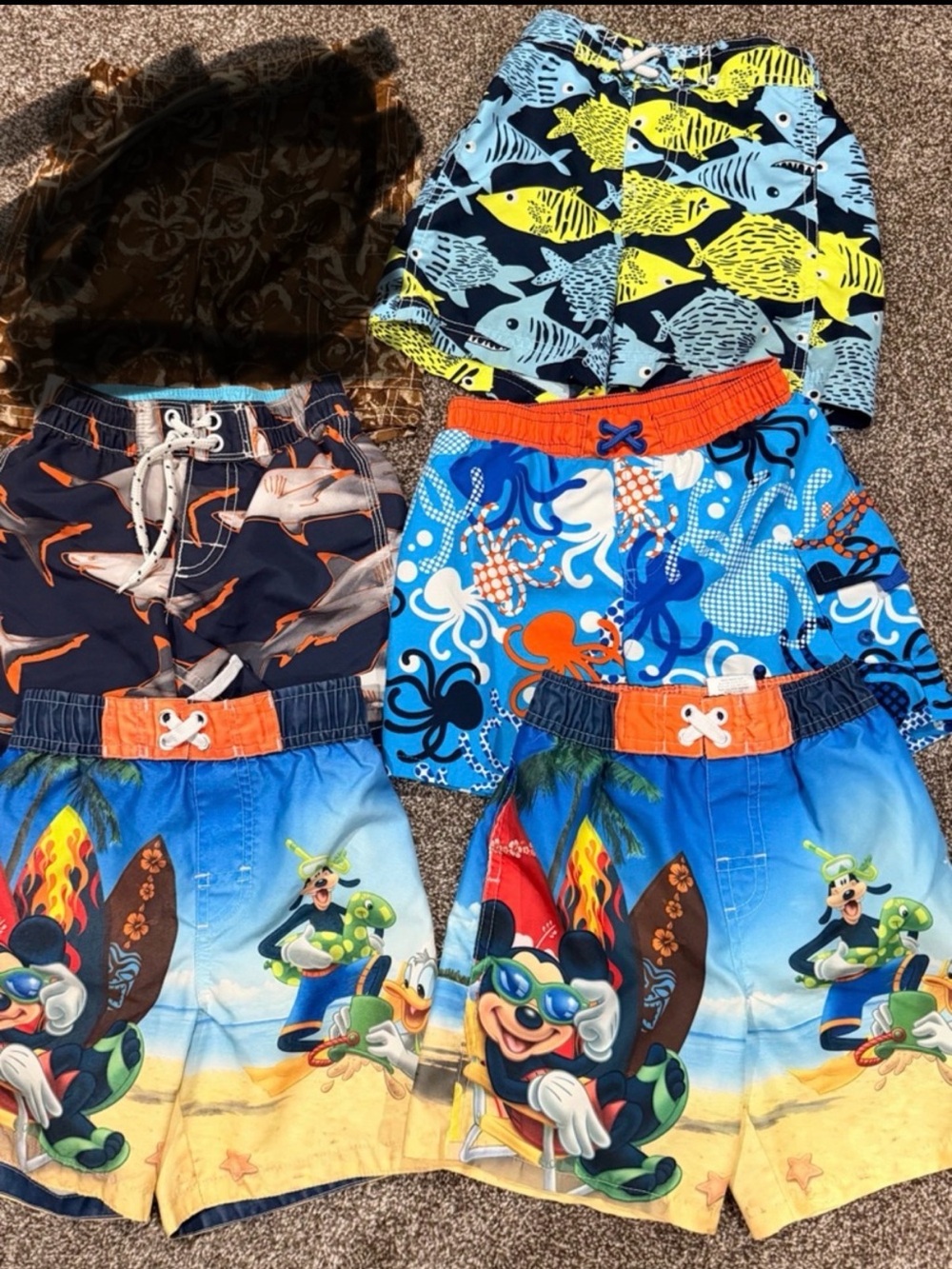 5 pair Assorted Boys' Beach Swim Trunks - Tropical Fish & Cartoon Prints